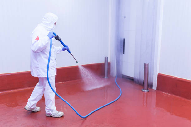 Best Soft Washing for Delicate Surfaces in Panacea, FL